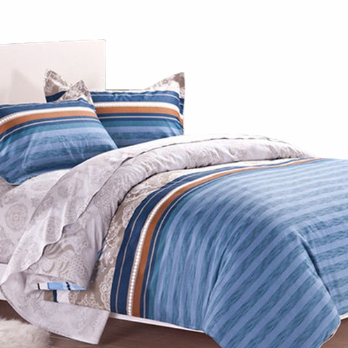 逸轩家纺 全棉斜纹印花双人床单式四件套被套200*230cm